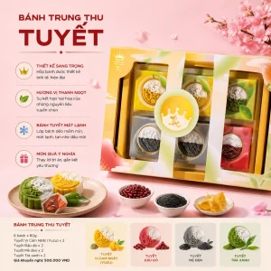 HỘP THU TUYẾT 6 BÁNH